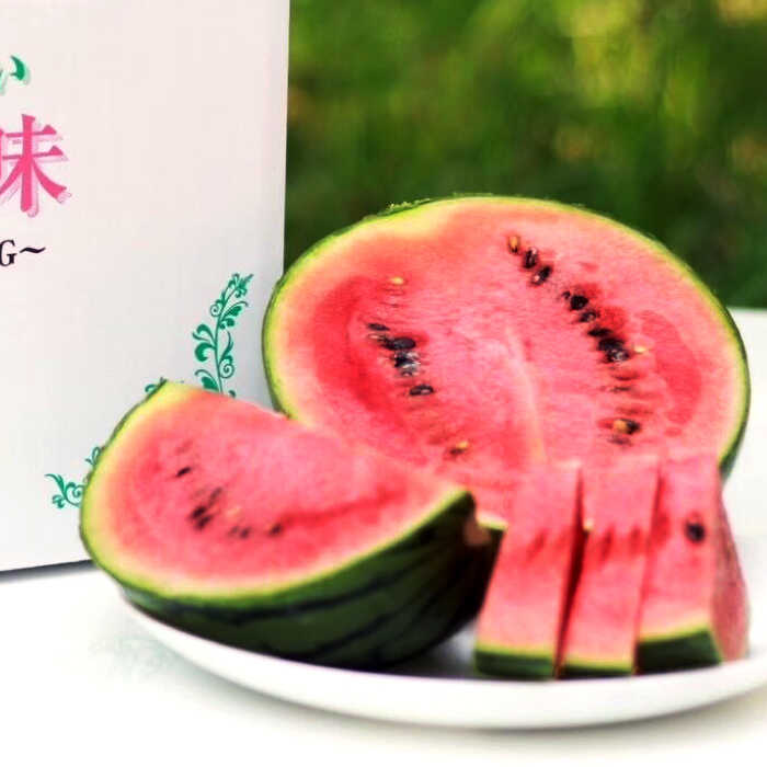 【ふるさと納税】【先行予約】【初夏に実った贈り物】 小玉 スイカ 約4〜4.5kg以上【なかむら農園】[ZBH004] サムネイル2