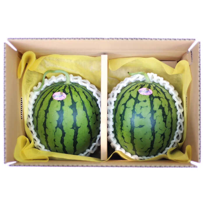 【ふるさと納税】【先行予約】【初夏に実った贈り物】 小玉 スイカ 約4〜4.5kg以上【なかむら農園】[ZBH004] サムネイル3