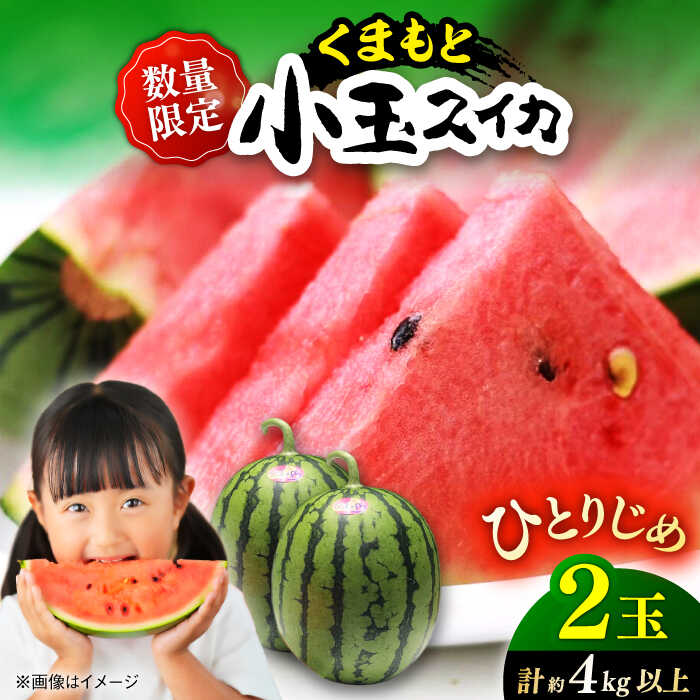 【先行予約】【初夏に実った贈り物】 小玉 スイカ 約4〜4.5kg以上【なかむら農園】[ZBH004]