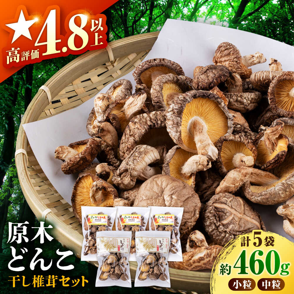 原木 栽培 干し 椎茸 どんこ セット約460g【小春農園】[ZBN001]