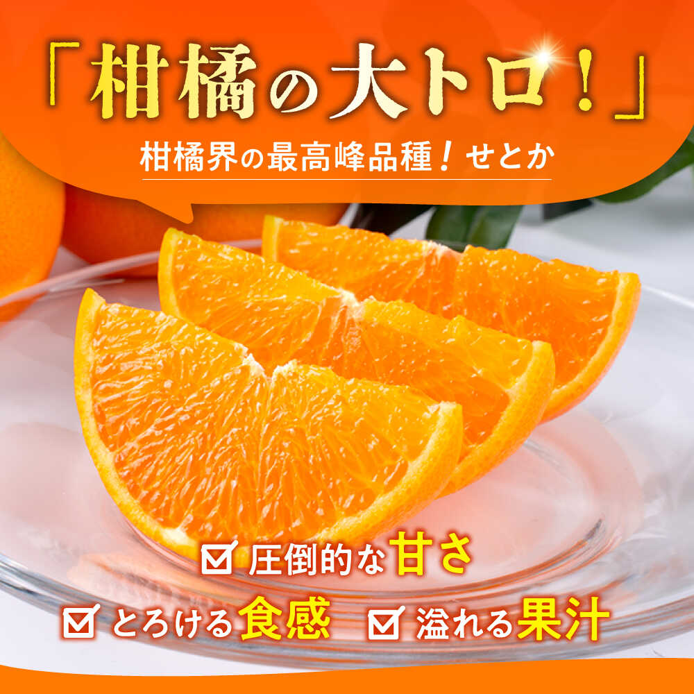 【ふるさと納税】【2026年2月下旬から発送】 みかん ミカン せとか 約2.5kg 果物 フルーツ 秀品 贈答用 化粧箱 ギフト 贈答 蜜柑 柑橘 かんきつ くだもの 旬 甘い 品種 小玉 大玉 3kg 5kg 10kg より少ない 2kg 以上 2.5kg ゼリー や みかんジュース にも【小春農園】[ZBN002] - 画像2