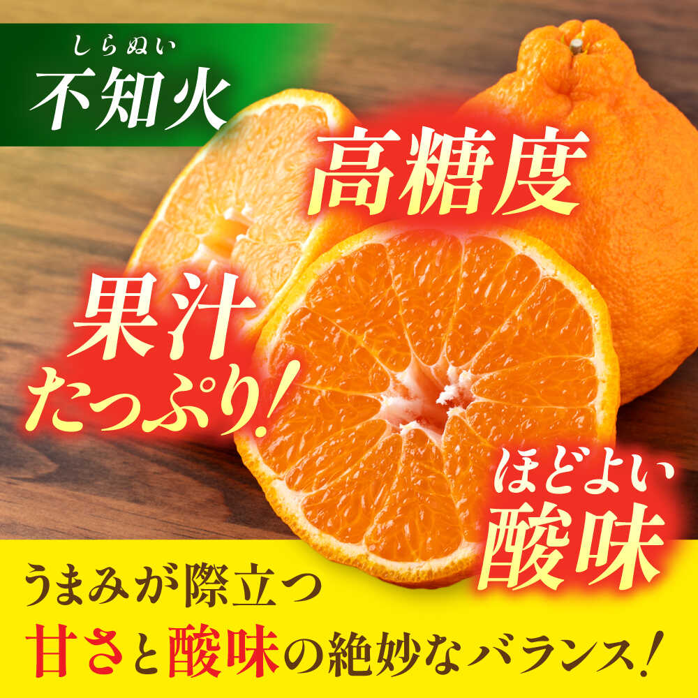 【ふるさと納税】【2026年3月下旬から発送】 みかん ミカン 不知火（デコポン と同品種）約 3kg （7〜12玉）柑橘の王様 ハウス栽培 【小春農園】[ZBN003] 秀品 ギフト 贈答 贈答用 しらぬい くだもの フルーツ 果物 熊本 熊本県 山鹿市 1万円 以上 食品 甘い 柑橘 送料無料 - 画像2