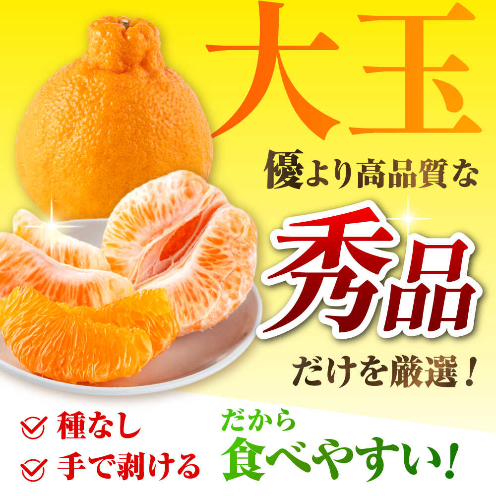 【ふるさと納税】【2026年3月下旬から発送】 みかん ミカン 不知火（デコポン と同品種）約 3kg （7〜12玉）柑橘の王様 ハウス栽培 【小春農園】[ZBN003] 秀品 ギフト 贈答 贈答用 しらぬい くだもの フルーツ 果物 熊本 熊本県 山鹿市 1万円 以上 食品 甘い 柑橘 送料無料 - 画像3