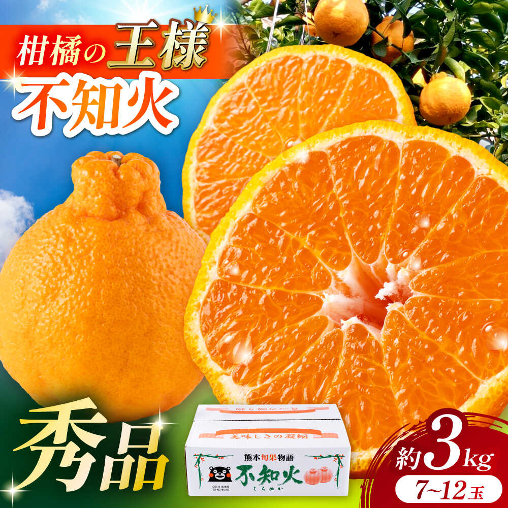 【2026年3月下旬から発送】 みかん ミカン 不知火（デコポン と同品種）約 3kg （7〜12玉）柑橘の王様 ハウス栽培 【小春農園】[ZBN003] 秀品 ギフト 贈答 贈答用 しらぬい くだもの フルーツ 果物 熊本 熊本県 山鹿市 1万円 以上 食品 甘い 柑橘 送料無料