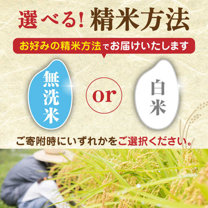 【ふるさと納税】 容量・無洗米も選べる！森のくまさん 5kg 10kg 20kg 【株式会社 農産ベストパートナー】[ZBP035] お米 米 無洗米 白米 おすすめ 人気 ご飯 ごはん 送料無料 サムネイル3