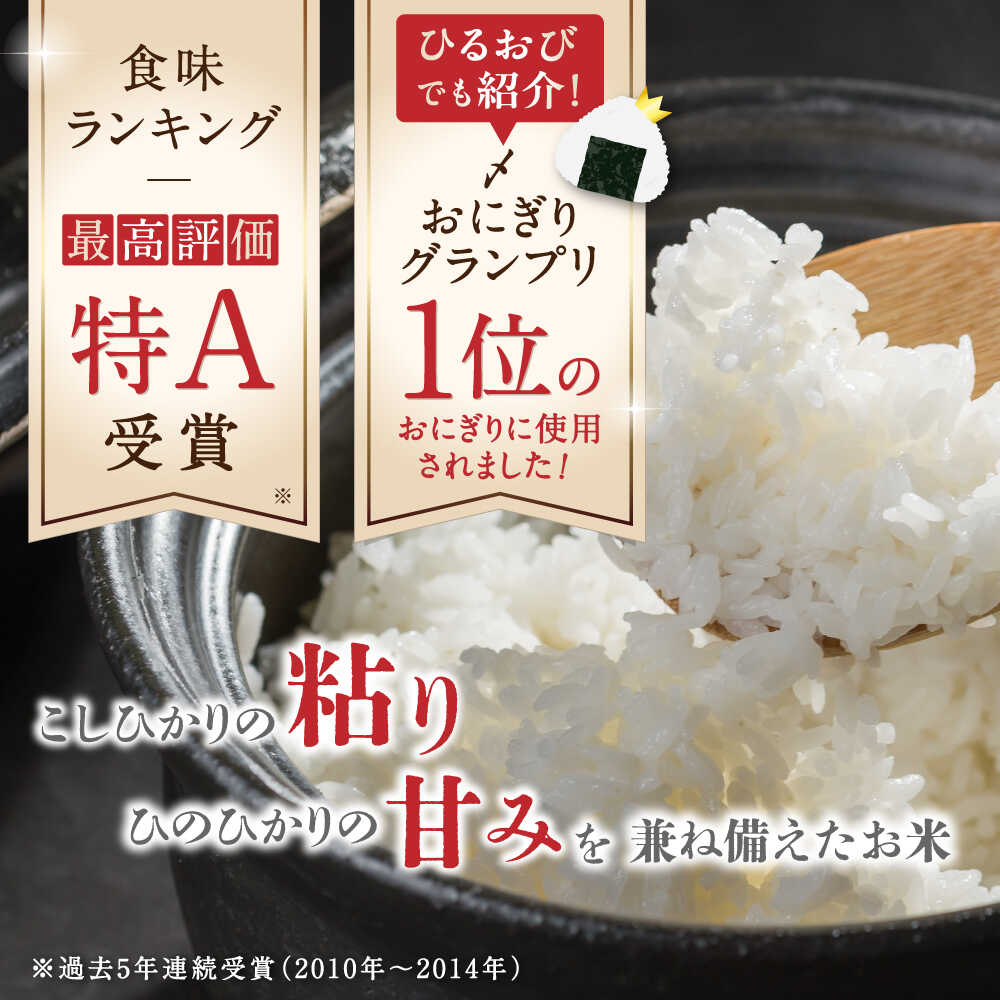 【ふるさと納税】〈令和7年度産米〉【全12回定期便】 森のくまさん 無洗米 5kg【株式会社 農産ベストパートナー】[ZBP096] 無洗米 無洗 おすすめ 人気 国産 熊本県 米 ご飯 ごはん 送料無料 令和7年 - 画像3