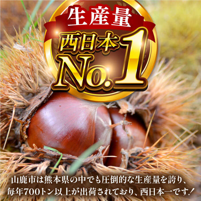 【ふるさと納税】むき栗 1kg 【株式会社あんず】[ZBT014] サムネイル2