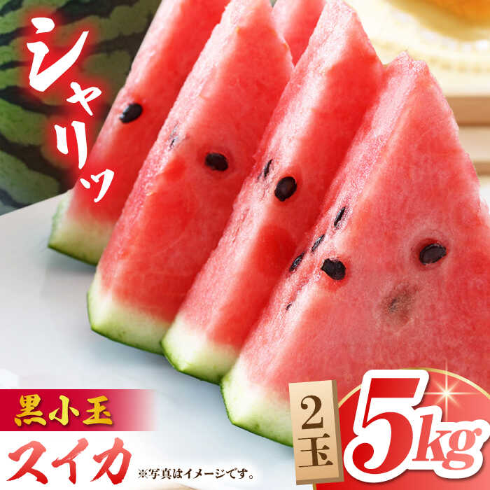 【先行予約】黒小玉 スイカ (ひとりじめ BonBon) 2玉 計約5kg【岡山農園】[ZBY001] 果物 くだもの すいか 西瓜 季節物 旬 産地直送 甘さ 食感 小さい サイズ 九州 熊本県 山鹿