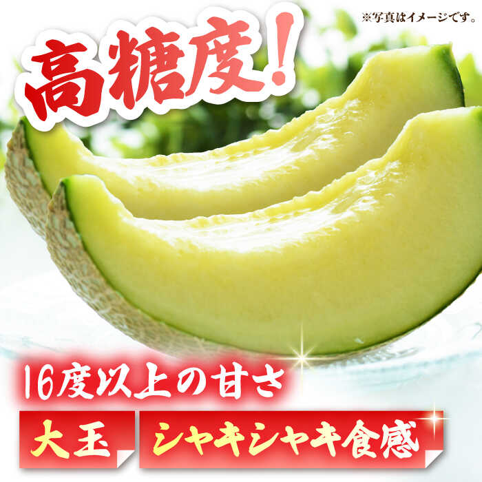 【ふるさと納税】【先行予約】 肥後グリーンメロン 糖度16度以上 2玉 計約4.6kg【岡山農園】[ZBY002] 果物 くだもの メロン めろん 旬 フルーツ 肥後 グリーンメロン ブランド 甘さ 糖度 16度 食感 大きい サイズ 九州 熊本県 山鹿 - 画像2