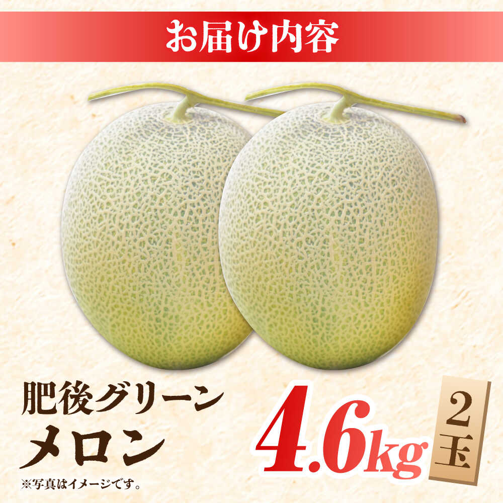【ふるさと納税】【先行予約】 肥後グリーンメロン 糖度16度以上 2玉 計約4.6kg【岡山農園】[ZBY002] 果物 くだもの メロン めろん 旬 フルーツ 肥後 グリーンメロン ブランド 甘さ 糖度 16度 食感 大きい サイズ 九州 熊本県 山鹿 - 画像3