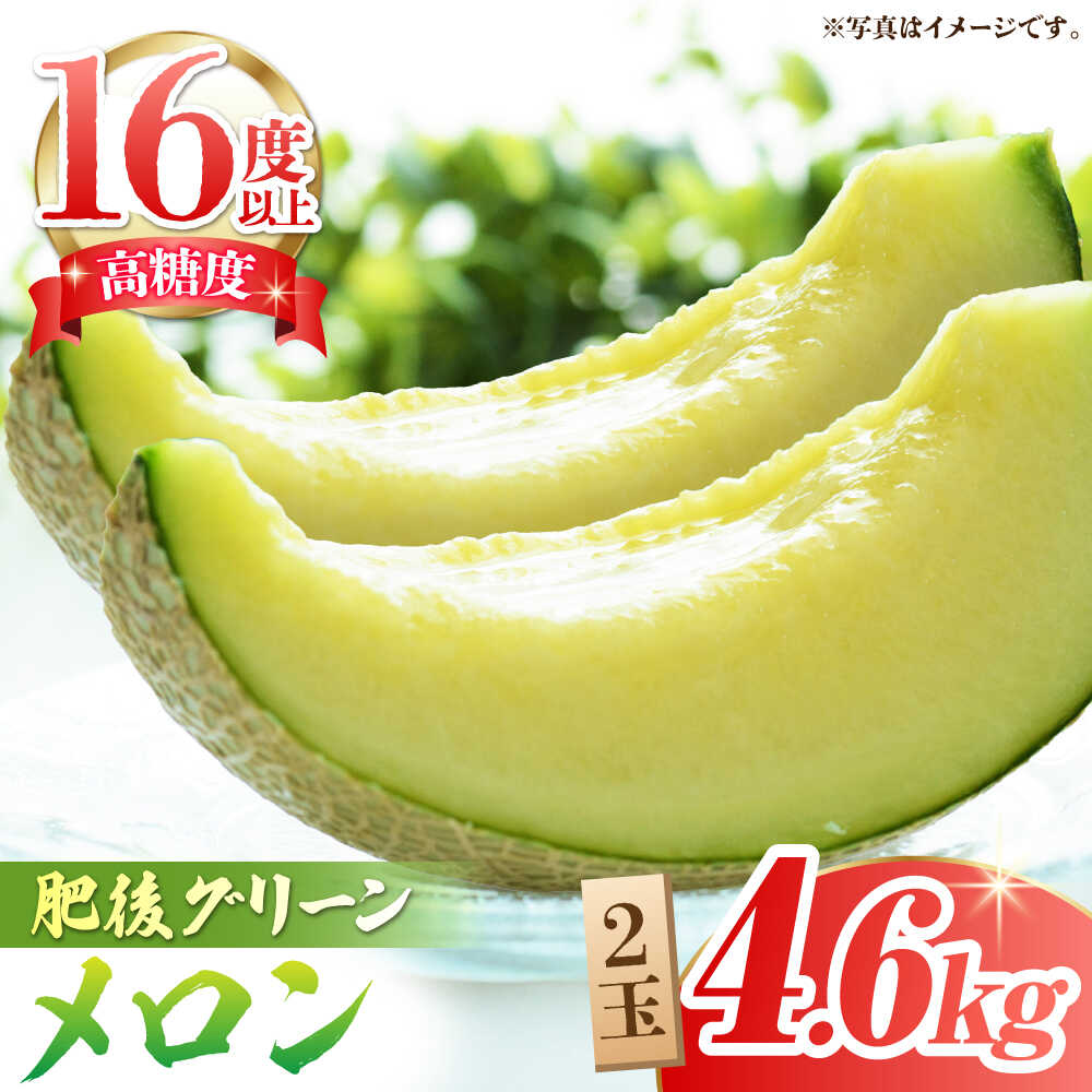 【先行予約】 肥後グリーンメロン 糖度16度以上 2玉 計約4.6kg【岡山農園】[ZBY002] 果物 くだもの メロン めろん 旬 フルーツ 肥後 グリーンメロン ブランド 甘さ 糖度 16度 食感 大きい サイズ 九州 熊本県 山鹿