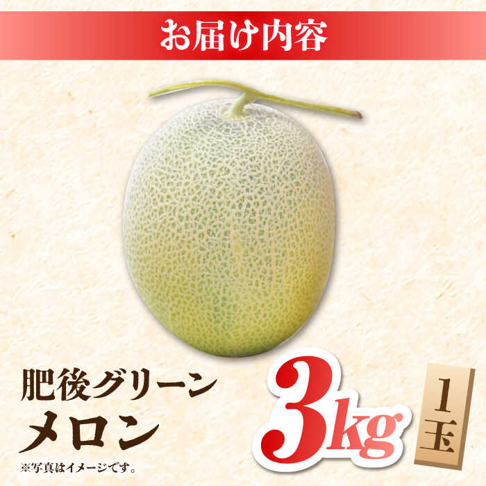 【ふるさと納税】【先行予約】肥後 グリーン メロン 糖度16度以上 1玉 約3kg【岡山農園】[ZBY004] 果物 くだもの メロン めろん 旬 フルーツ 肥後グリーンメロン ブランド 甘さ 糖度 16度 食感 大きい サイズ 九州 熊本県 山鹿 サムネイル3