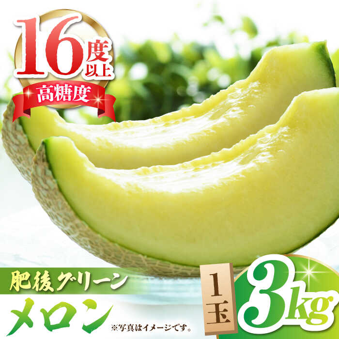 【先行予約】肥後 グリーン メロン 糖度16度以上 1玉 約3kg【岡山農園】[ZBY004] 果物 くだもの メロン めろん 旬 フルーツ 肥後グリーンメロン ブランド 甘さ 糖度 16度 食感 大きい サイズ 九州 熊本県 山鹿