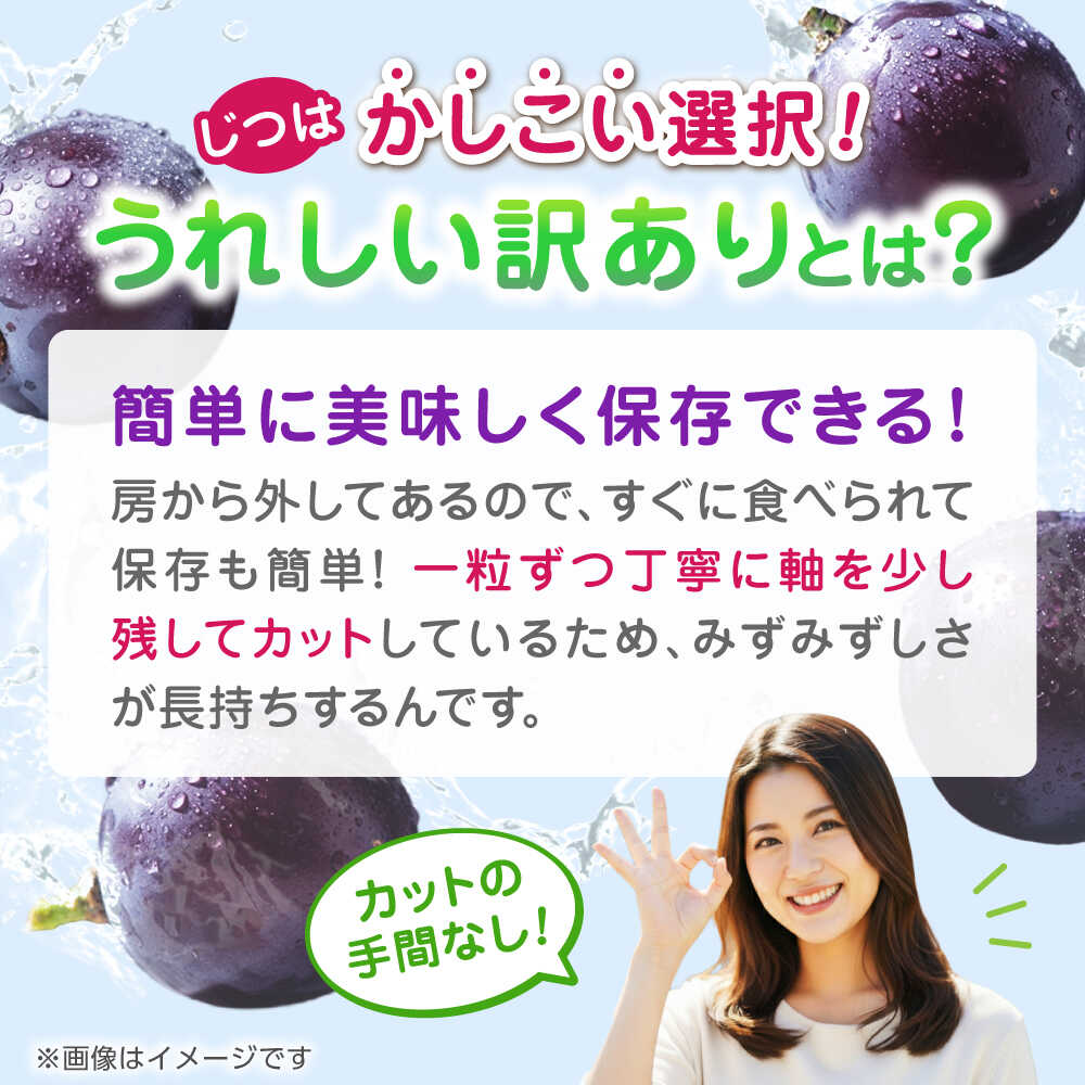 【ふるさと納税】【先行予約】 訳あり ピオーネ ぶどう 切り落とし 約1kg ブドウ 葡萄 おすすめ 国産 熊本県 山鹿 果物 くだもの フルーツ 人気 ランキング ブランド キャンペーン 特産品 種類 産地 九州 食品 季節 評価 レビュー 送料無料 【合同会社 社方園】[ZBZ007] サムネイル3