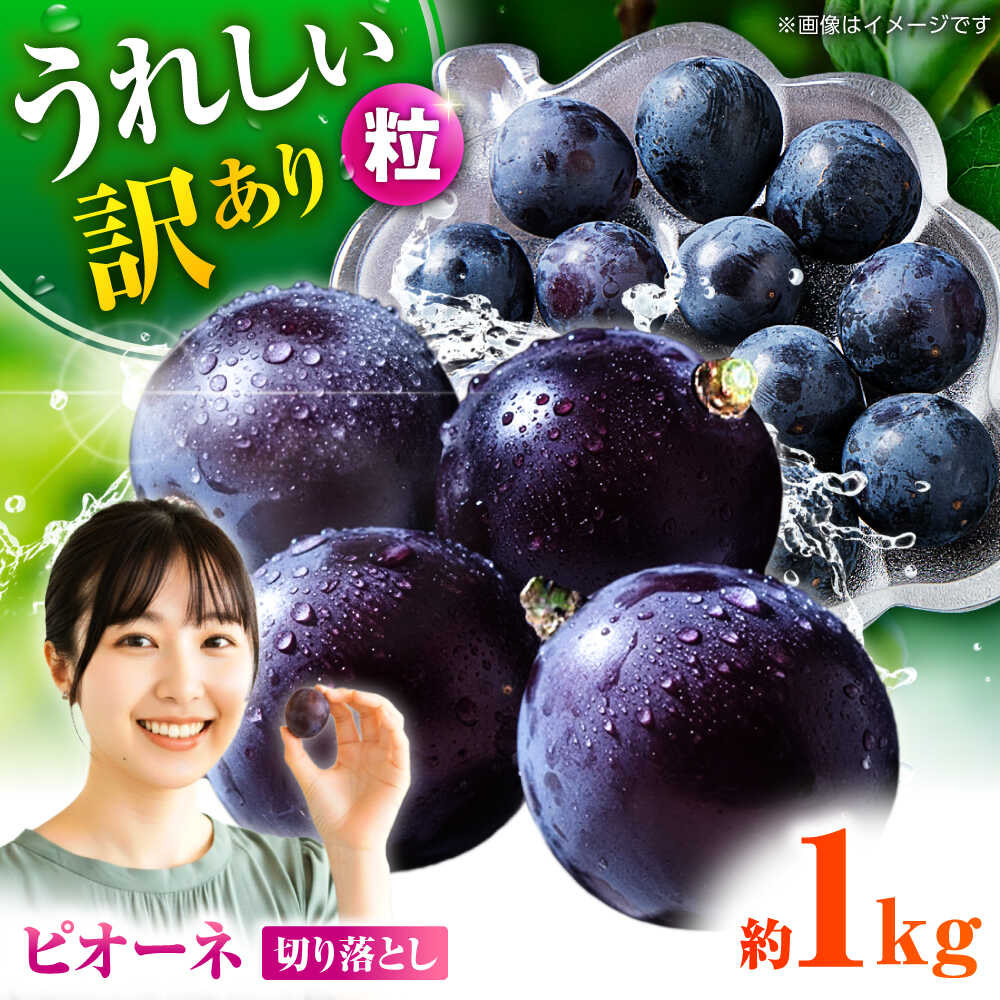 【先行予約】 訳あり ピオーネ ぶどう 切り落とし 約1kg ブドウ 葡萄 おすすめ 国産 熊本県 山鹿 果物 くだもの フルーツ 人気 ランキング ブランド キャンペーン 特産品 種類 産地 九州 食品 季節 評価 レビュー 送料無料 【合同会社 社方園】[ZBZ007]