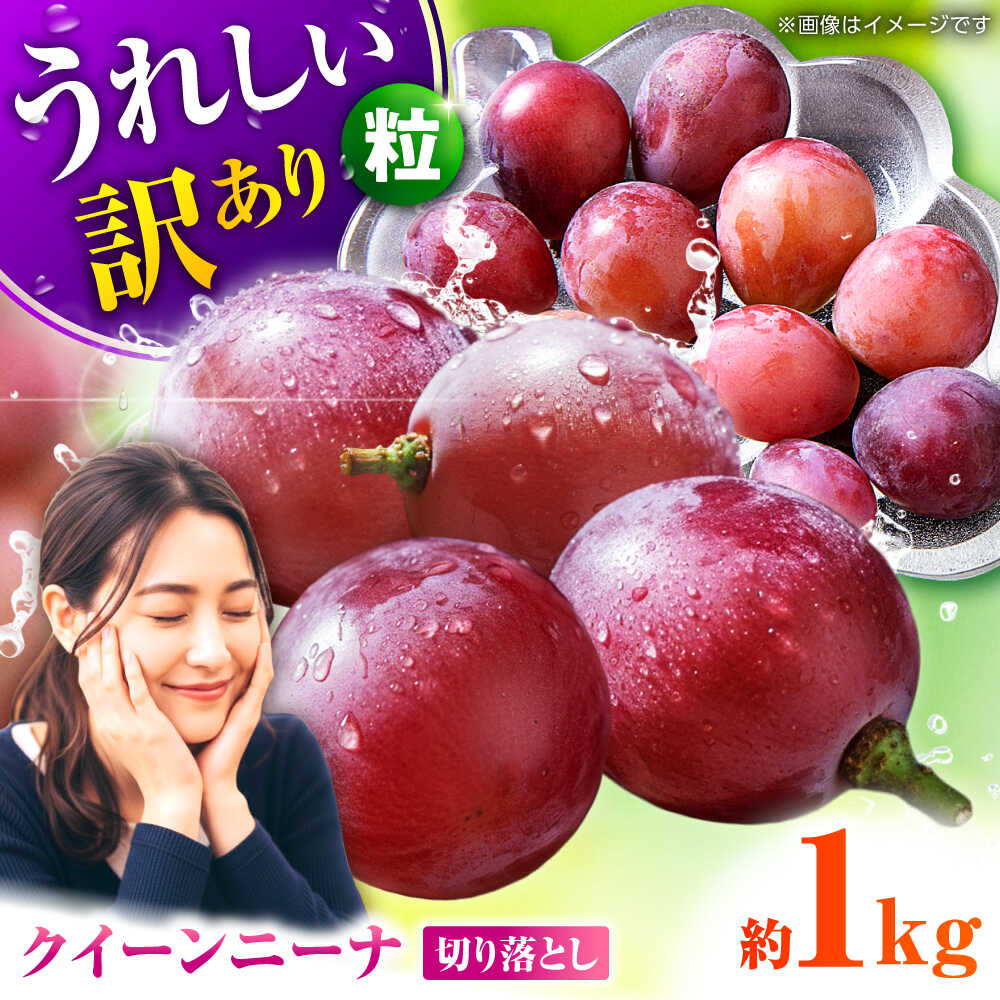 【2026年発送先行予約】訳あり クイーンニーナ ぶどう 切り落とし 約1kg ブドウ 葡萄 おすすめ 国産 熊本県 山鹿 果物 くだもの フルーツ 人気 ランキング ブランド キャンペーン 特産品 九州 食品 季節 評価 口コミ 送料無料【合同会社 社方園】[ZBZ008]