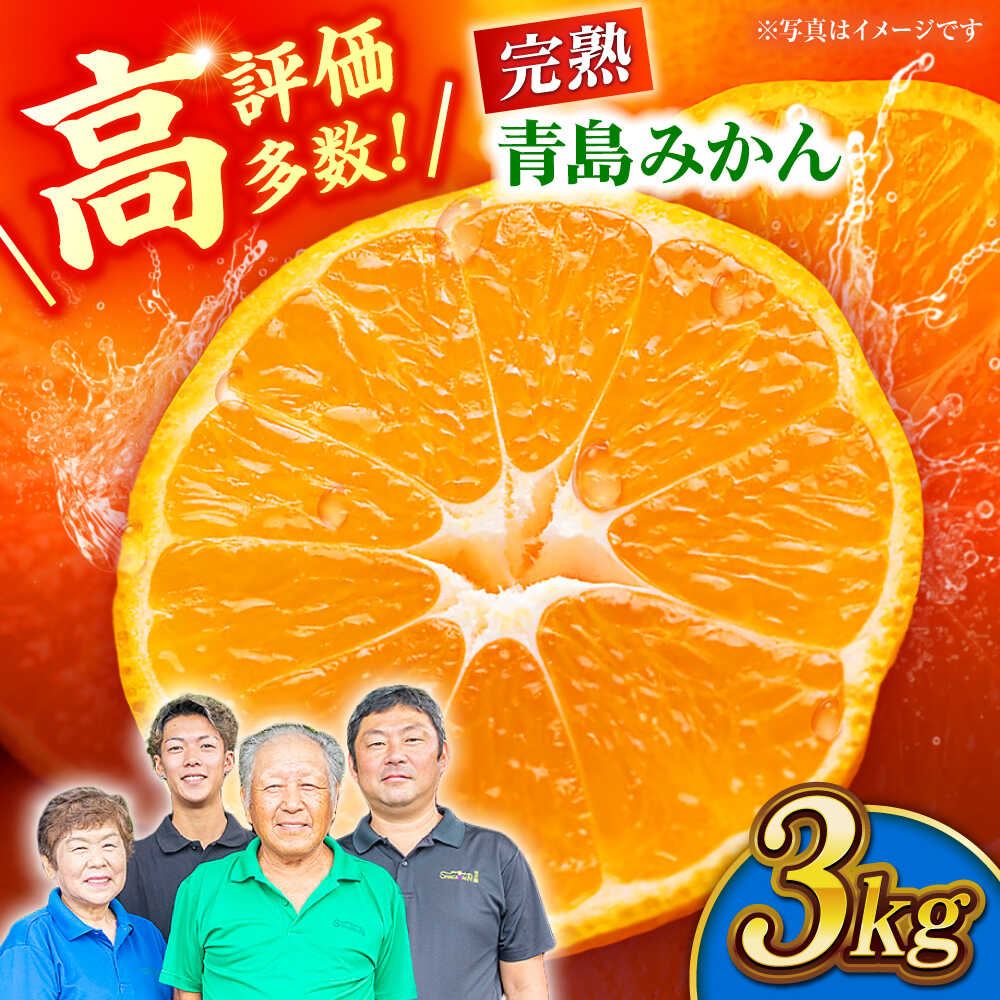 【先行予約】完熟 青島 みかん 約3kg【合同会社 社方園】[ZBZ011] ミカン 蜜柑 温州 うんしゅう 産地 柑橘 かんきつ 果物 くだもの フルーツ 人気 ランキング 旬 季節 産地直送 国産 熊本県 山鹿 期間限定 レビュー 口コミ 特産品 送料無料