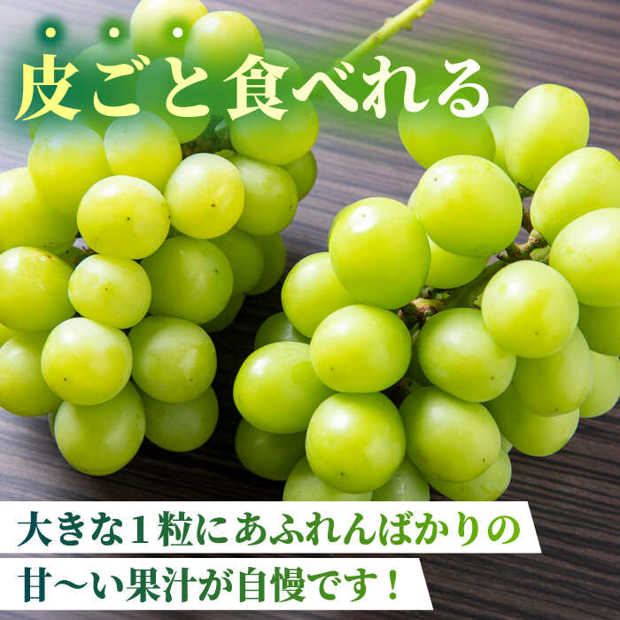 【ふるさと納税】 【2026年発送先行予約】 シャインマスカット 2kg(4〜5房)【合同会社 社方園】[ZBZ013] ブドウ 葡萄 おすすめ 国産 熊本県 山鹿 果物 くだもの フルーツ 人気 ランキング ブランド 特産品 産地 甘い 果汁 九州 季節 旬 評価 口コミ 送料無料 サムネイル2