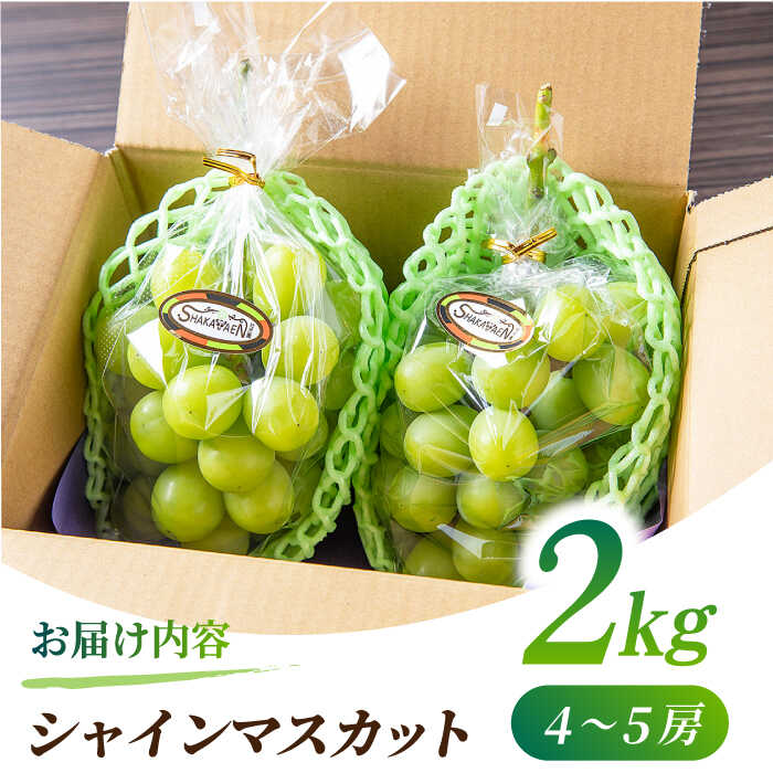 【ふるさと納税】 【2026年発送先行予約】 シャインマスカット 2kg(4〜5房)【合同会社 社方園】[ZBZ013] ブドウ 葡萄 おすすめ 国産 熊本県 山鹿 果物 くだもの フルーツ 人気 ランキング ブランド 特産品 産地 甘い 果汁 九州 季節 旬 評価 口コミ 送料無料 サムネイル3