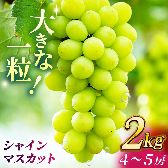 【2026年発送先行予約】 シャインマスカット 2kg(4〜5房)【合同会社 社方園】[ZBZ013] ブドウ 葡萄 おすすめ 国産 熊本県 山鹿 果物 くだもの フルーツ 人気 ランキング ブランド 特産品 産地 甘い 果汁 九州 季節 旬 評価 口コミ 送料無料