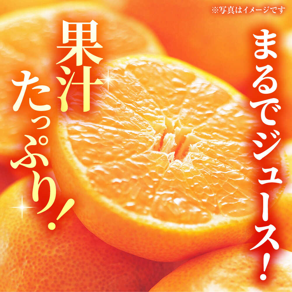 【ふるさと納税】【先行予約】【訳あり】家庭用 みかん 約5kg 詰め合わせ 柑橘【合同会社 社方園】[ZBZ021] ミカン 蜜柑 温州 うんしゅう 産地 柑橘 果物 くだもの フルーツ 人気 ランキング 旬 季節 産地直送 国産 熊本県 山鹿 期間限定 特産品 送料無料 サムネイル2