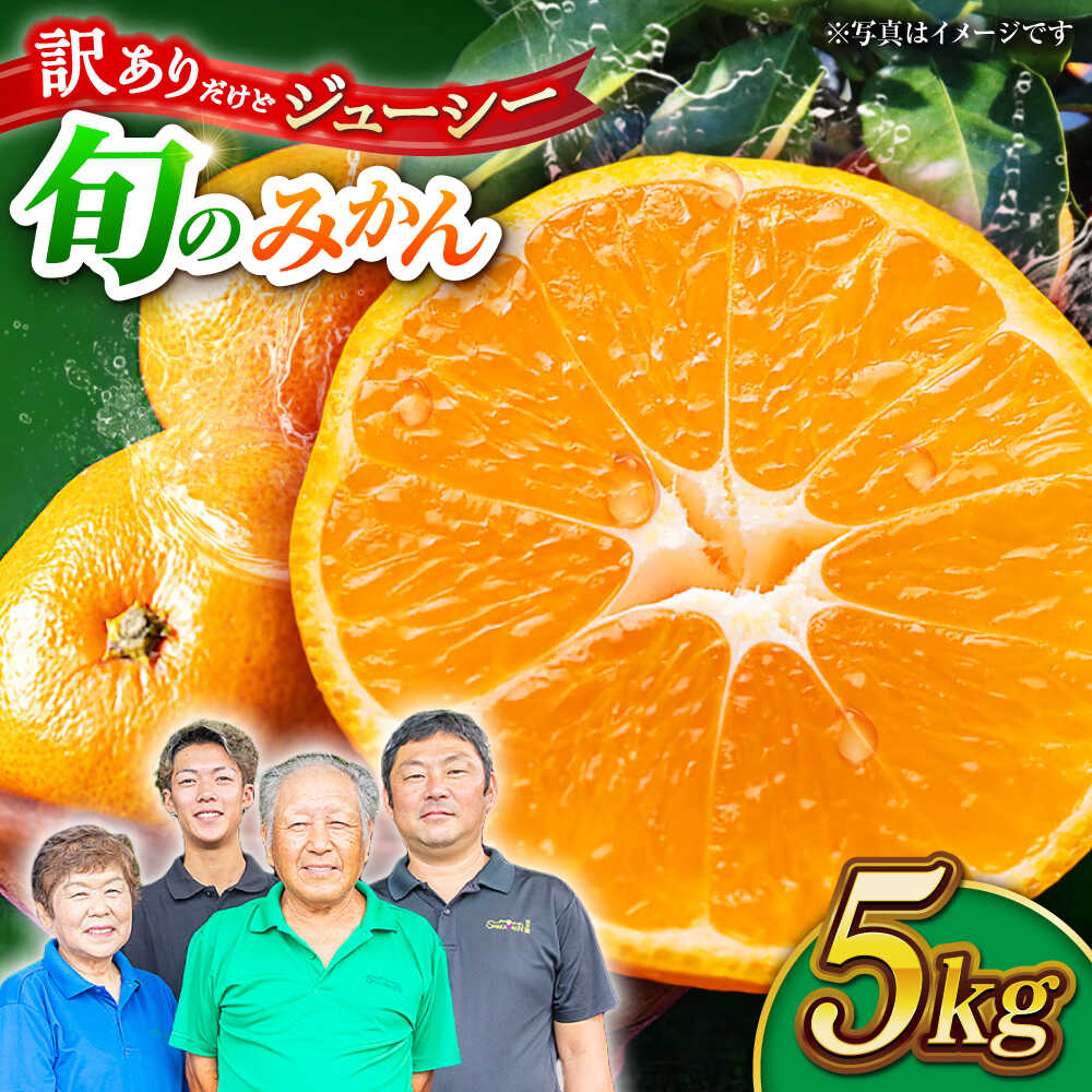 【先行予約】【訳あり】家庭用 みかん 約5kg 詰め合わせ 柑橘【合同会社 社方園】[ZBZ021] ミカン 蜜柑 温州 うんしゅう 産地 柑橘 果物 くだもの フルーツ 人気 ランキング 旬 季節 産地直送 国産 熊本県 山鹿 期間限定 特産品 送料無料