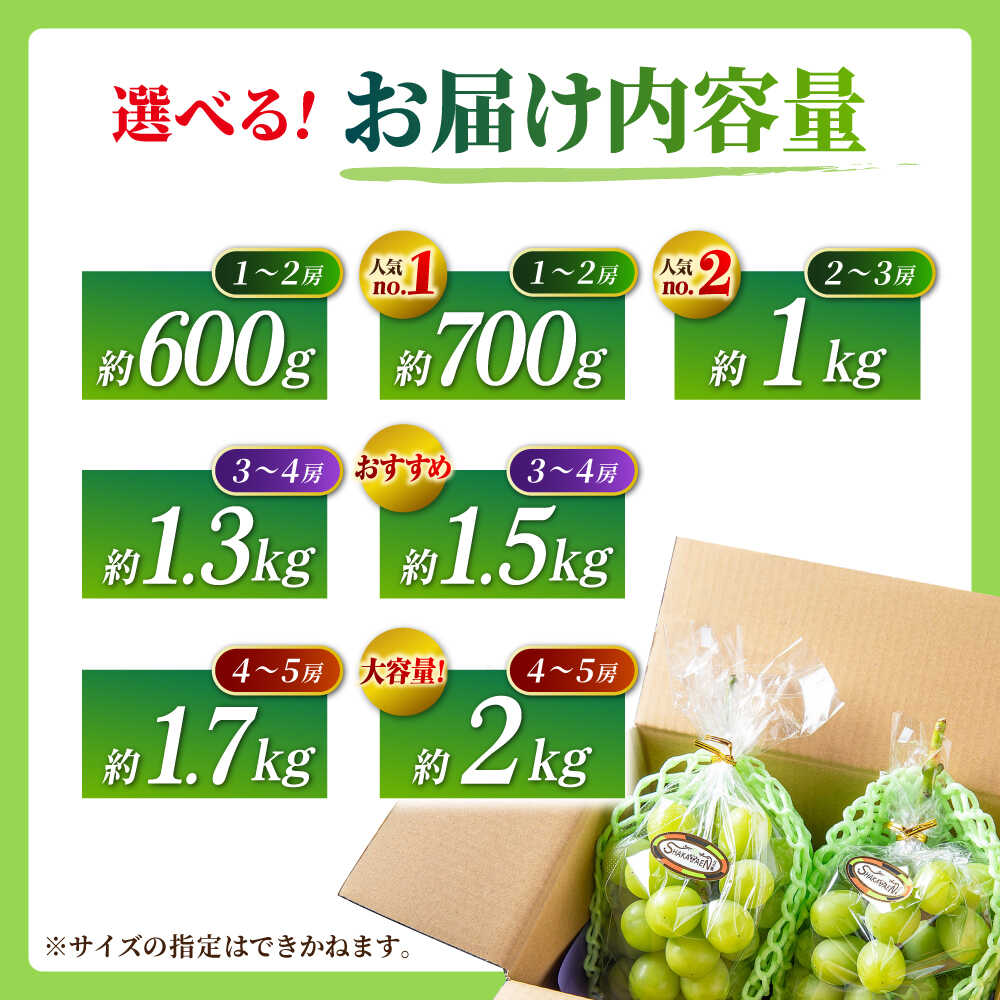 【ふるさと納税】【先行予約】【訳あり】容量選べる！シャインマスカット（約600g~2kg）【合同会社 社方園】[ZBZ027] ブドウ 葡萄 おすすめ 国産 熊本県 山鹿 果物 くだもの フルーツ 人気 ランキング ブランド 特産品 甘い 果汁 九州 送料無料 - 画像3