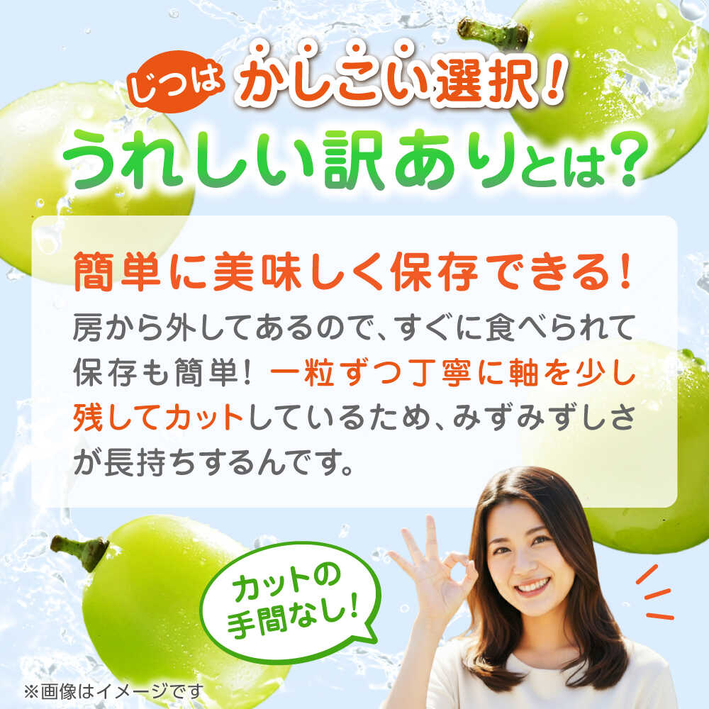 【ふるさと納税】【先行予約】 訳あり シャインマスカット 切り落とし 約700g 【合同会社 社方園】[ZBZ038] サムネイル3