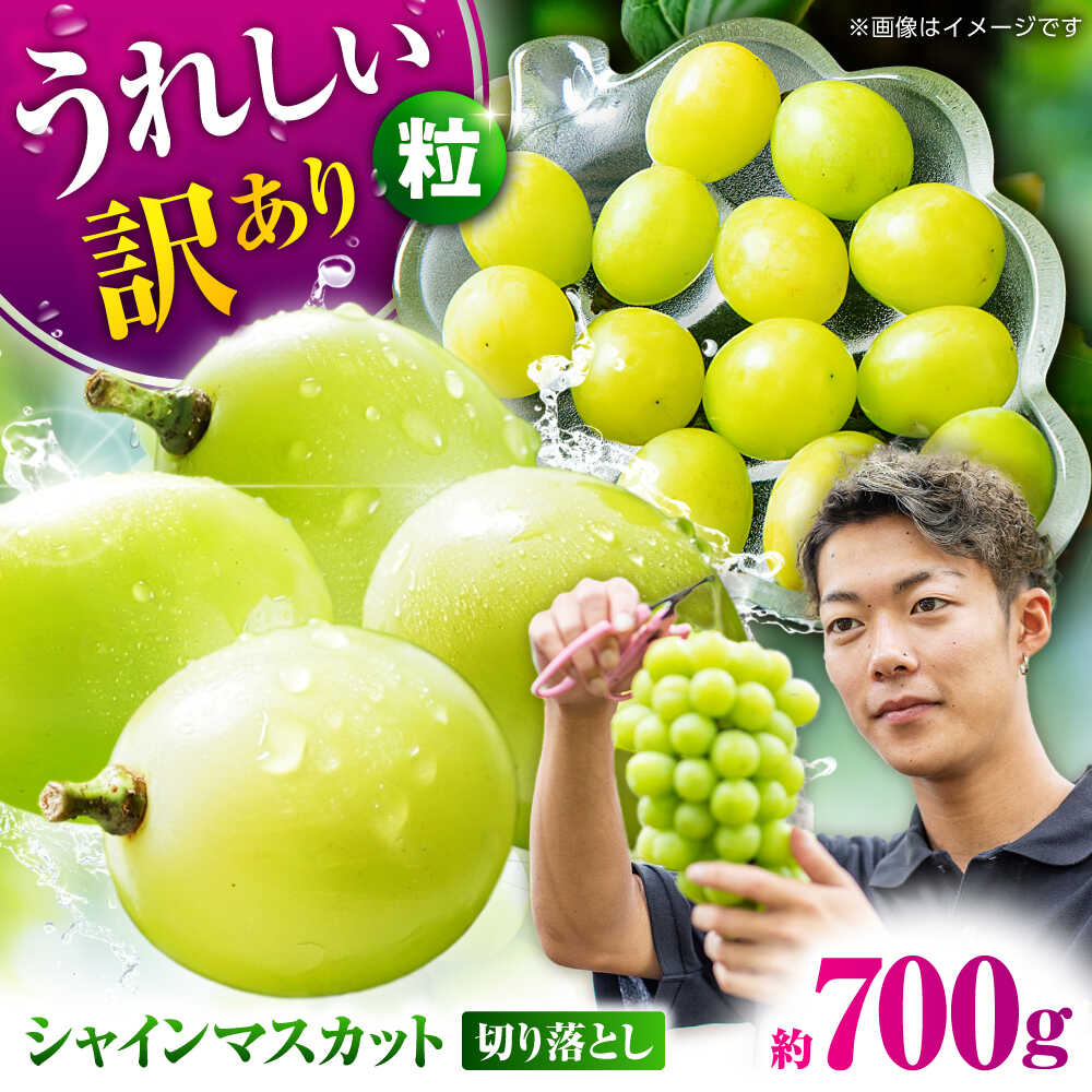 【先行予約】 訳あり シャインマスカット 切り落とし 約700g 【合同会社 社方園】[ZBZ038]