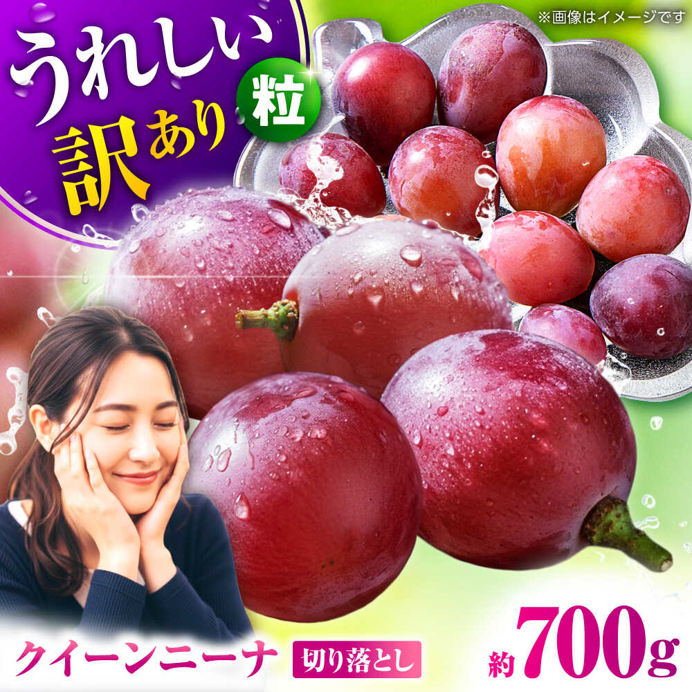【2026年発送先行予約】訳あり クイーンニーナ ぶどう 切り落とし 約700g 【合同会社 社方園】[ZBZ039]