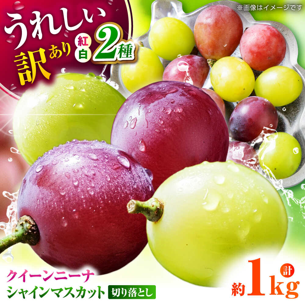 【先行予約】 訳あり 紅白ぶどう2種（シャインマスカット＆クイーンニーナ）食べ比べ 切り落とし 計約1kg 【合同会社 社方園】[ZBZ041]