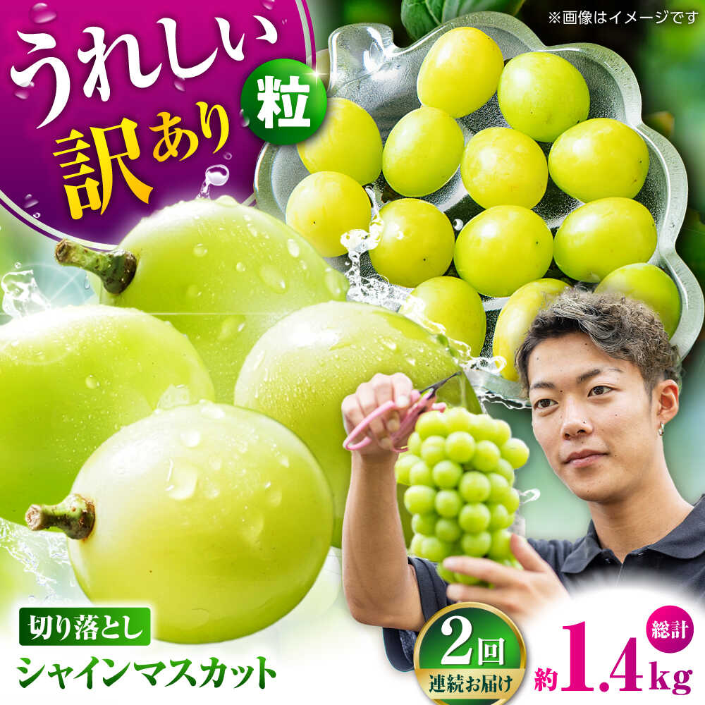 【先行予約】【2回定期便】　訳あり シャインマスカット 切り落とし 約700g 【合同会社 社方園】[ZBZ043]