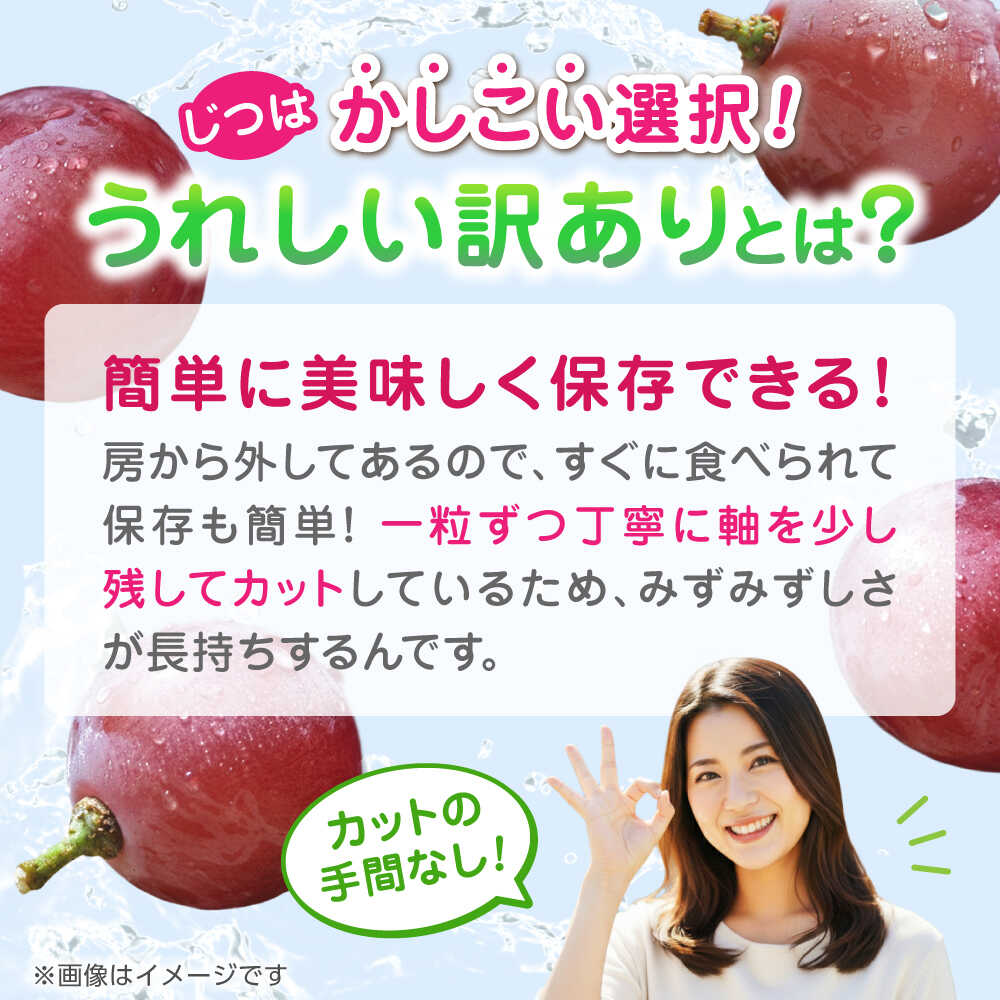 【ふるさと納税】【2026年発送先行予約】【2回定期便】　訳あり クイーンニーナ ぶどう 切り落とし 約700g 【合同会社 社方園】[ZBZ044] サムネイル3