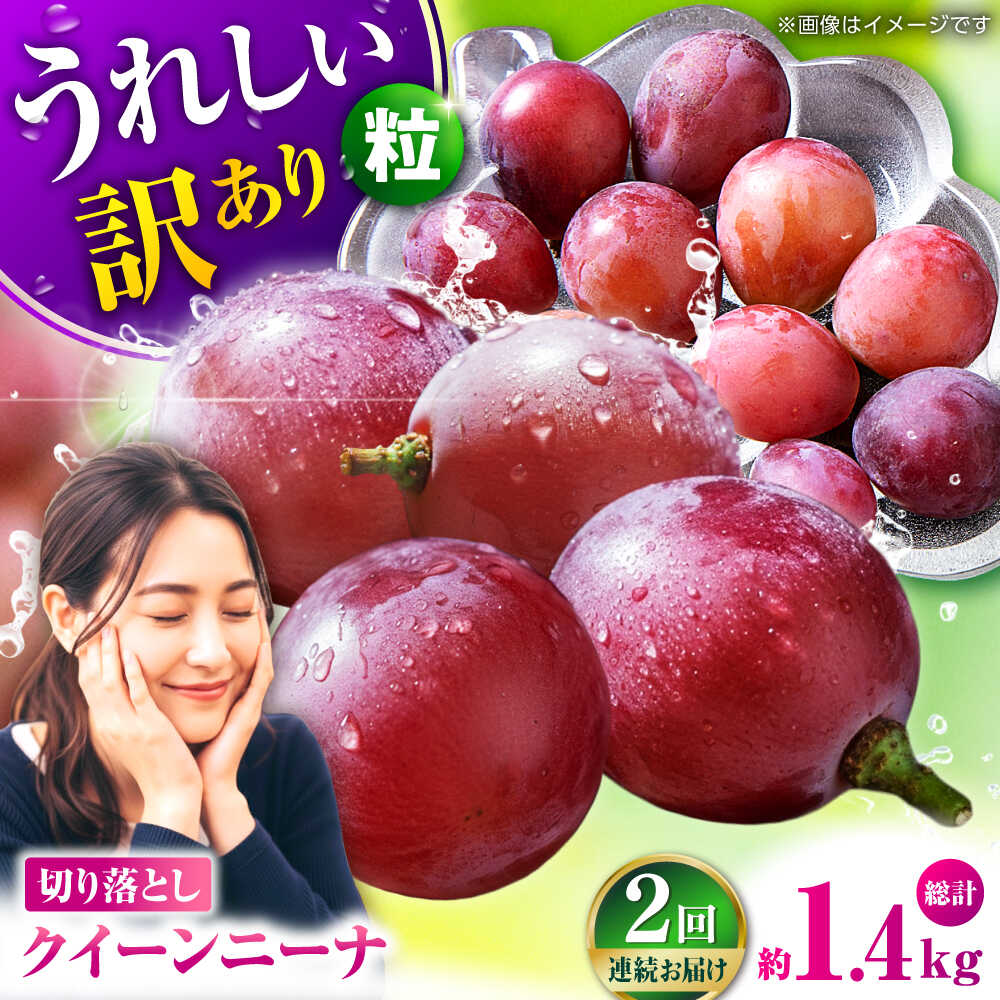 【2026年発送先行予約】【2回定期便】　訳あり クイーンニーナ ぶどう 切り落とし 約700g 【合同会社 社方園】[ZBZ044]