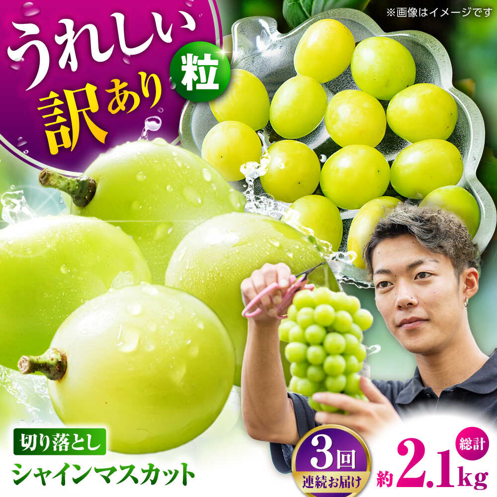 【先行予約】【3回定期便】　訳あり シャインマスカット 切り落とし 約700g 【合同会社 社方園】[ZBZ046]