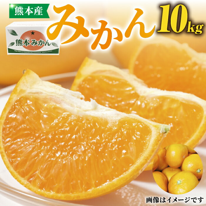 みかん 約10kg【かきやま果実】[ZCJ005] 熊本みかん みかん 厳選 お届け 贈答品 産地直送 国産 熊本 山鹿市