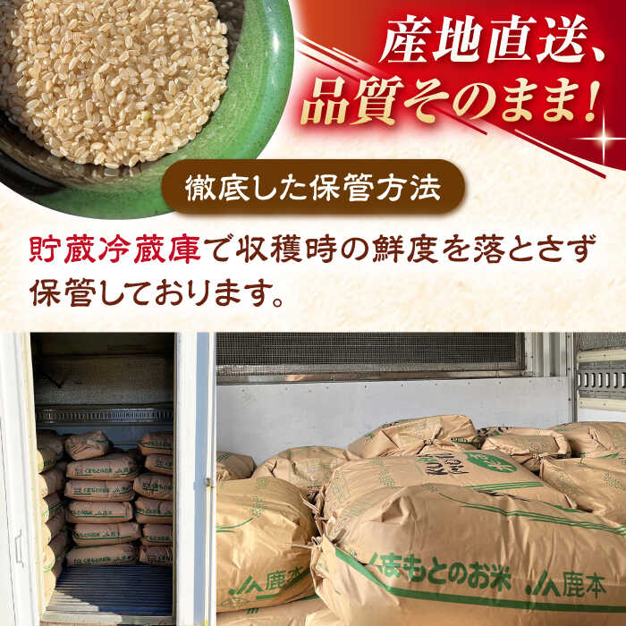 【ふるさと納税】【天日塩を使用】一鹿米 ヒノヒカリ 白米 5kg【株式会社 夢アグリ】[ZCL003] - 画像2