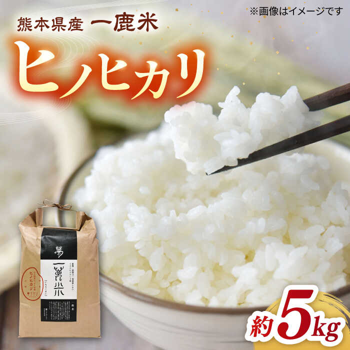 【天日塩を使用】一鹿米 ヒノヒカリ 白米 5kg【株式会社 夢アグリ】[ZCL003]