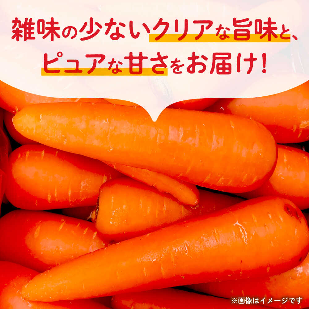 【ふるさと納税】【先行予約】にんじん 約3kg 天日塩＆発酵土壌で作ったこだわりの人参 【株式会社 夢アグリ】[ZCL018] - 画像2