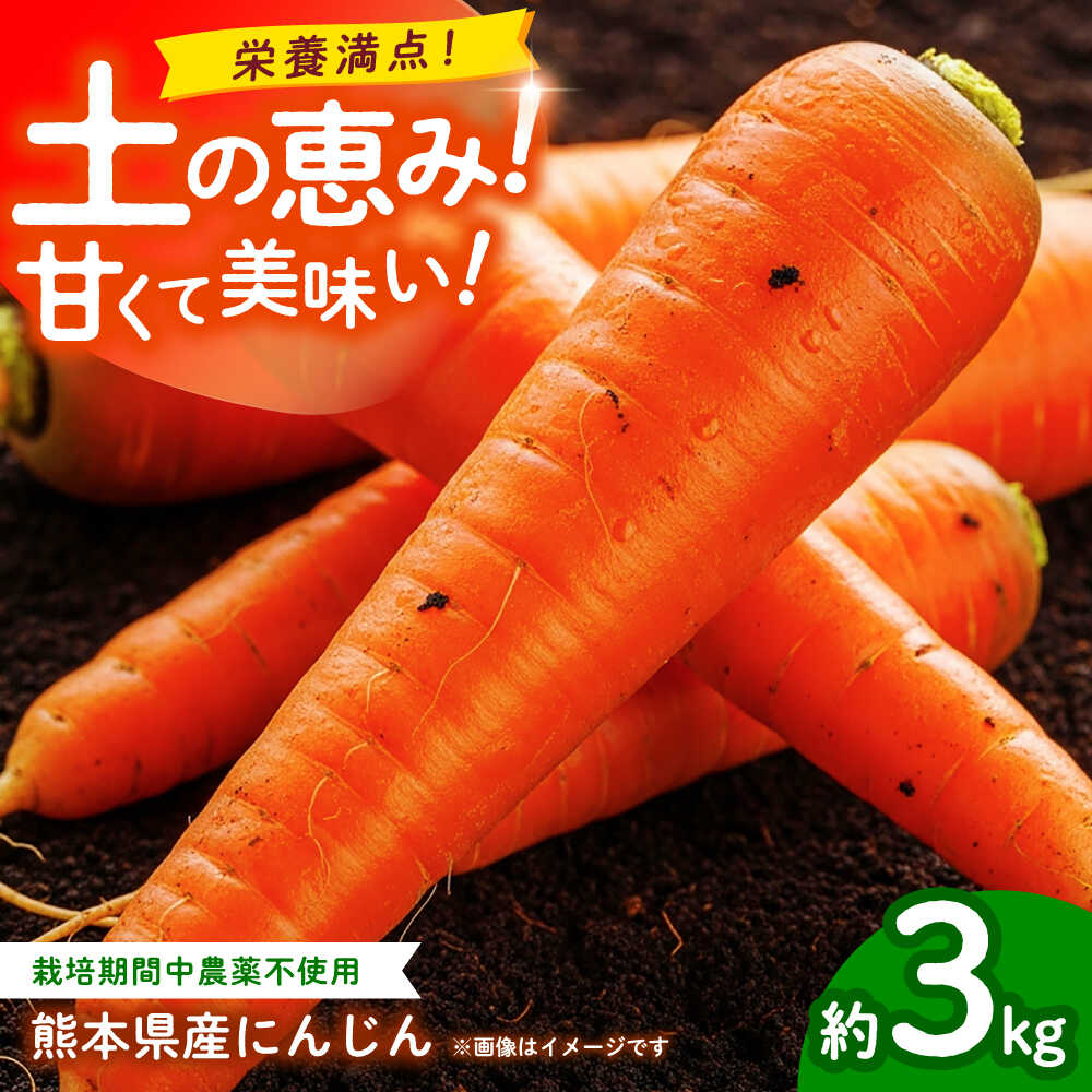 【先行予約】にんじん 約3kg 天日塩＆発酵土壌で作ったこだわりの人参 【株式会社 夢アグリ】[ZCL018]