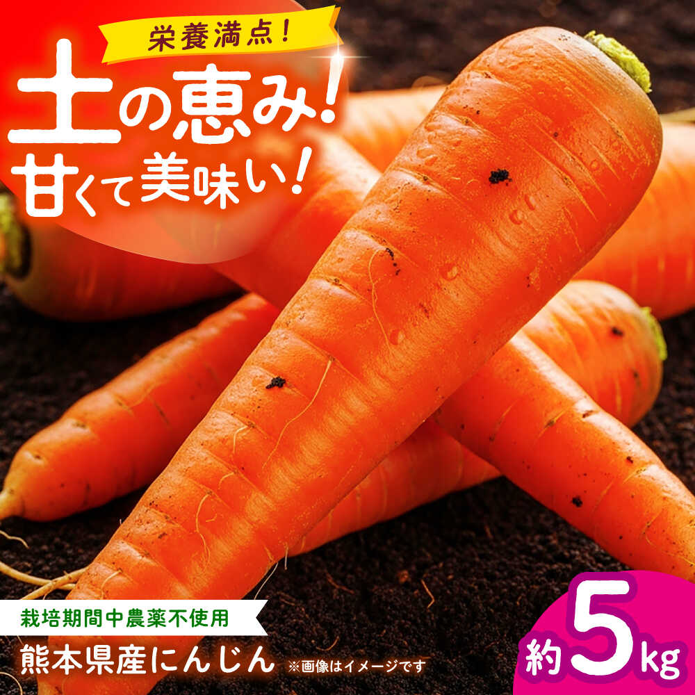 【先行予約】にんじん 約5kg 天日塩＆発酵土壌で作ったこだわりの人参 【株式会社 夢アグリ】[ZCL019]