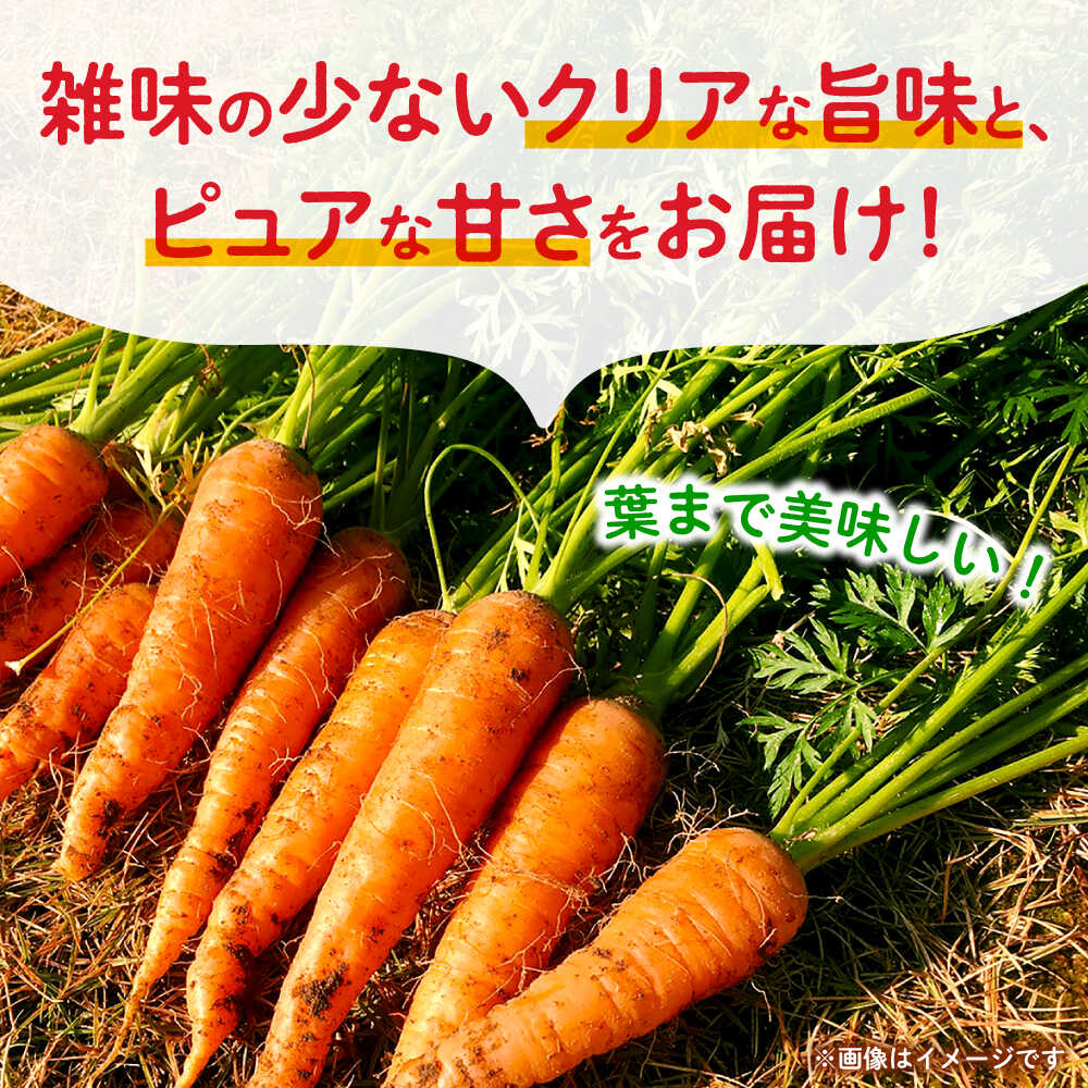 【ふるさと納税】【先行予約】葉付きにんじん 約5kg　天日塩＆発酵土壌で作ったこだわりの人参 【株式会社 夢アグリ】[ZCL021] - 画像2