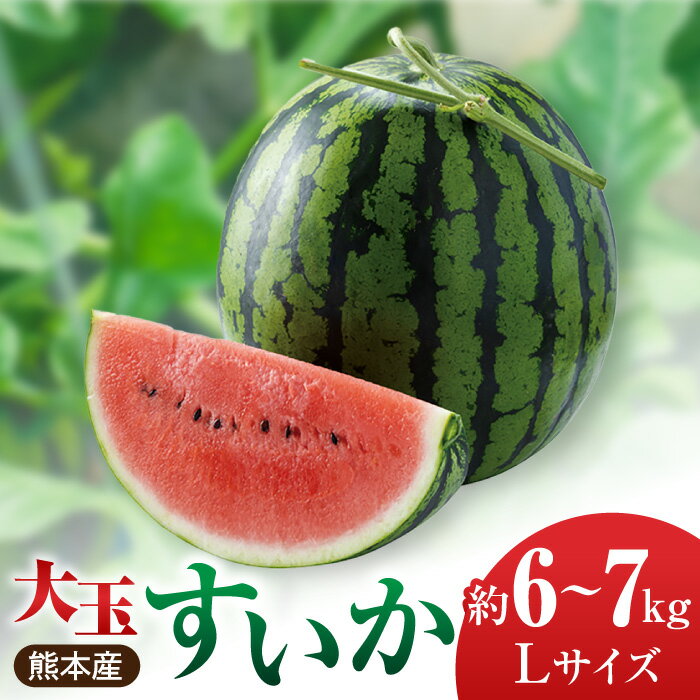 【先行予約】大玉 すいか Lサイズ【株式会社 前田ファーム】[ZCM001] 旬 フルーツ 果物 くだもの スイカ 西瓜 人気 季節物 新鮮 産地直送 甘い 春 糖度 おすすめ 地域 特産 期間限定 評判 口コミ フレッシュ 種類 大きい サイズ 熊本県 山鹿