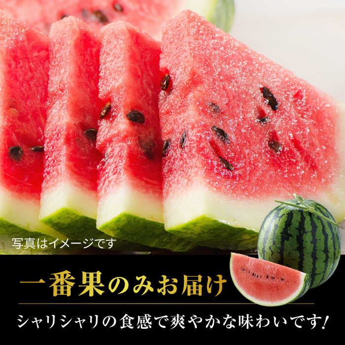 【ふるさと納税】【先行予約】大玉 すいか LLサイズ スイカ 西瓜 熊本 果物 くだもの フルーツ 人気 季節物 新鮮 産地直送 甘い 糖度 おすすめ 地域 特産 期間限定 評判 種類 大きい サイズ 熊本県 山鹿市【株式会社 前田ファーム】[ZCM002] サムネイル2
