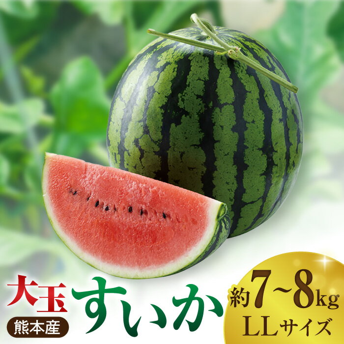 【先行予約】大玉 すいか LLサイズ スイカ 西瓜 熊本 果物 くだもの フルーツ 人気 季節物 新鮮 産地直送 甘い 糖度 おすすめ 地域 特産 期間限定 評判 種類 大きい サイズ 熊本県 山鹿市【株式会社 前田ファーム】[ZCM002]