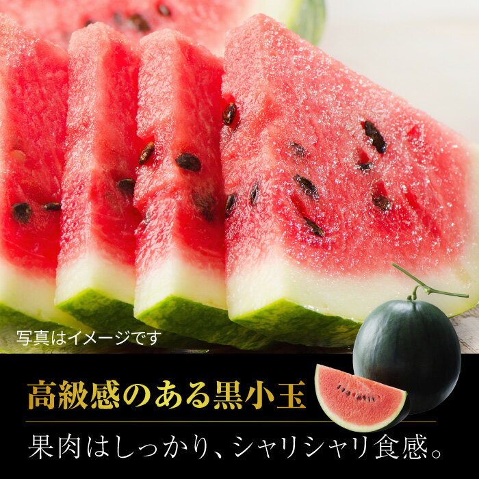 【ふるさと納税】【先行予約】黒小玉 スイカ と アールスメロン セット 旬 果物 くだもの フルーツ すいか 西瓜 メロン ブランド 人気 季節物 新鮮 産地直送 甘い 香り 糖度 おすすめ 一番果 特産 期間限定 評判 種類 熊本県 山鹿市【株式会社 前田ファーム】[ZCM003] サムネイル2