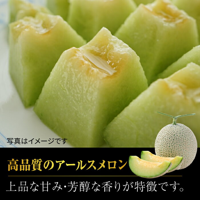 【ふるさと納税】【先行予約】黒小玉 スイカ と アールスメロン セット 旬 果物 くだもの フルーツ すいか 西瓜 メロン ブランド 人気 季節物 新鮮 産地直送 甘い 香り 糖度 おすすめ 一番果 特産 期間限定 評判 種類 熊本県 山鹿市【株式会社 前田ファーム】[ZCM003] サムネイル3