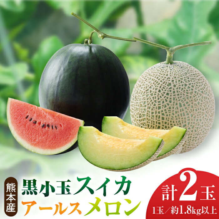 【先行予約】黒小玉 スイカ と アールスメロン セット 旬 果物 くだもの フルーツ すいか 西瓜 メロン ブランド 人気 季節物 新鮮 産地直送 甘い 香り 糖度 おすすめ 一番果 特産 期間限定 評判 種類 熊本県 山鹿市【株式会社 前田ファーム】[ZCM003]