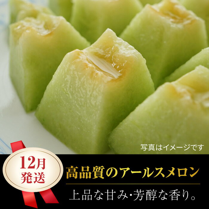 【ふるさと納税】【先行予約】年内発送 クリスマスメロン セット【株式会社 前田ファーム】[ZCM004] メロン 旬 フルーツ 果物 くだもの アールスメロン めろん ブランド 人気 鮮度 高級 種類 甘さ フレッシュ 箱入り 産地直送 糖度 おすすめ 熊本県 山鹿 サムネイル2