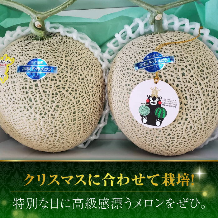 【ふるさと納税】【先行予約】年内発送 クリスマスメロン セット【株式会社 前田ファーム】[ZCM004] メロン 旬 フルーツ 果物 くだもの アールスメロン めろん ブランド 人気 鮮度 高級 種類 甘さ フレッシュ 箱入り 産地直送 糖度 おすすめ 熊本県 山鹿 サムネイル3